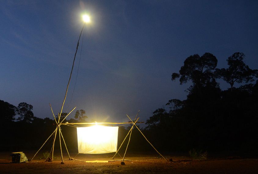 The light trap in the night - catching the "Titan" © Stanislav Snäll